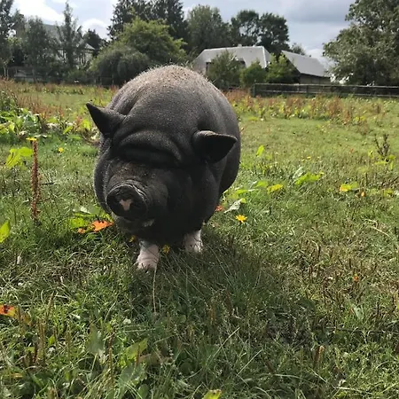 Chez Loupi Épaignes