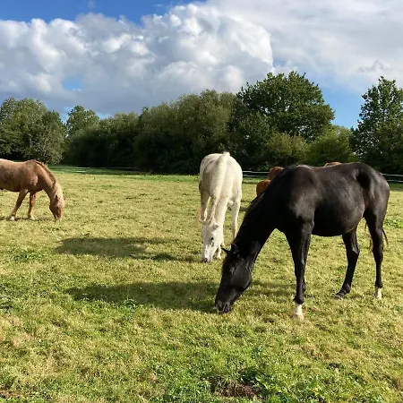 Chez Loupi Casa vacanze *