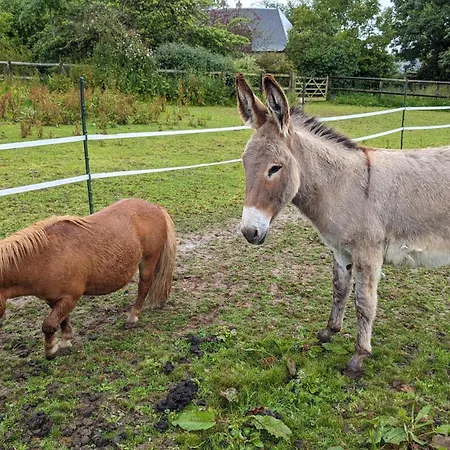 Chez Loupi Casa vacanze Épaignes