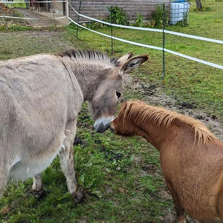 Casa vacanze Chez Loupi Épaignes