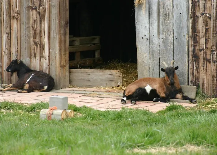 Chez Loupi Dom wakacyjny Épaignes