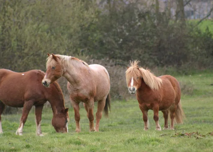 Chez Loupi Dom wakacyjny Épaignes