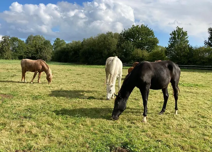 Chez Loupi Dom wakacyjny *