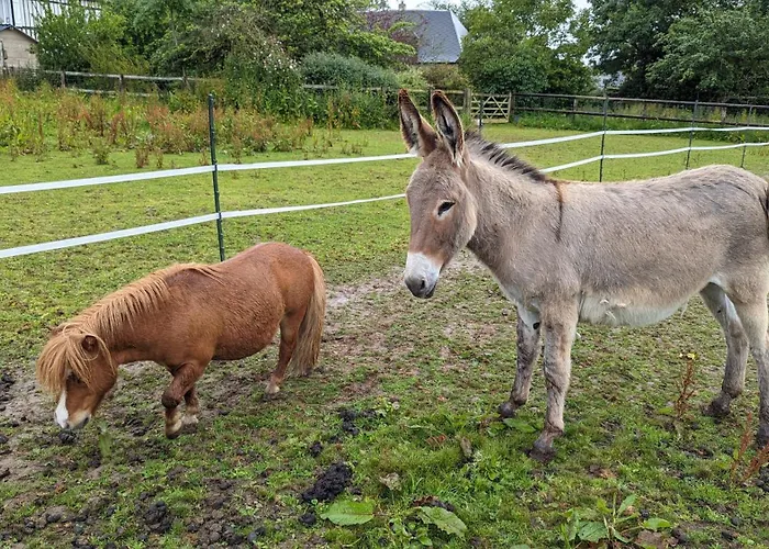 Chez Loupi Dom wakacyjny Épaignes
