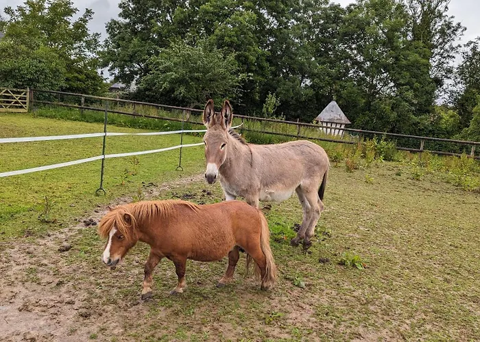 Dom wakacyjny Chez Loupi *