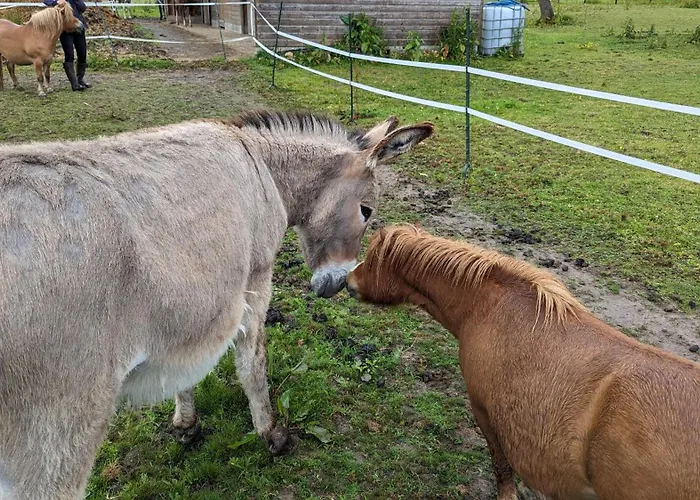 Dom wakacyjny Chez Loupi Épaignes